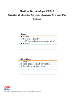 Chapter 6 Prefixes E-Flash Cards