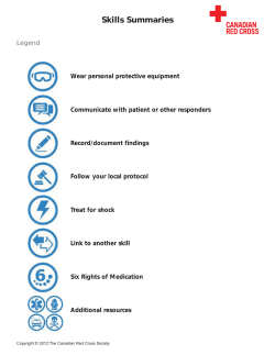 Skills Summaries