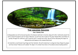 The amazing Amazon - Northlands Primary School