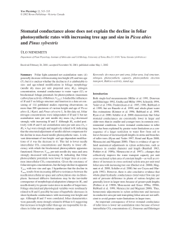 Stomatal conductance alone does not explain the decline in foliar