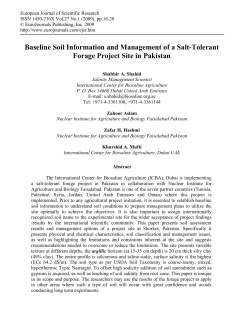 Baseline Soil Information and Management of a Salt