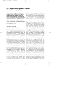 RNA folding: beyond Watson&ndash;Crick pairs