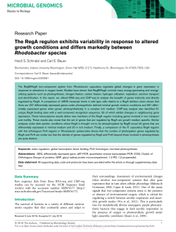 The RegA regulon exhibits variability in response to altered growth