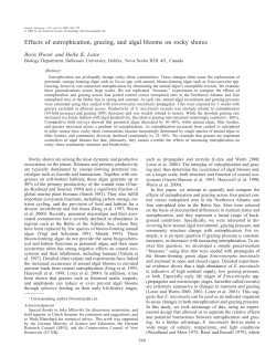 Effects of eutrophication, grazing, and algal blooms on rocky shores