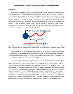 Hydrophilic Head (polar) Hydrophobic Tail (non