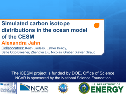 Simulated carbon isotope distributions in the ocean model of the