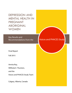 Depression and Mental Health in Pregnant Aboriginal Women. Final
