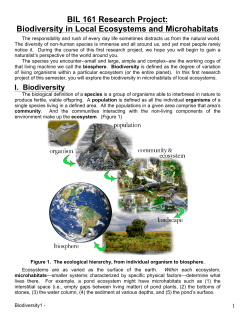 Biodiversity in Local Ecosystems and Microhabitats