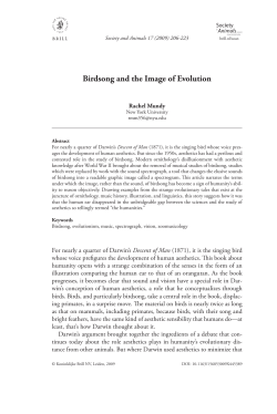 Birdsong and the Image of Evolution