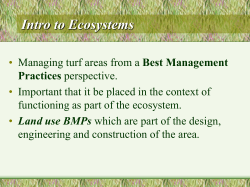 Intro to Ecosystems