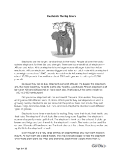 Elephants: The Big Eaters