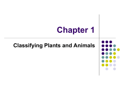 Chapter 1 PowerPoint