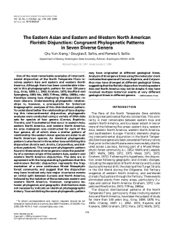 The Eastern Asian and Eastern and Western North American
