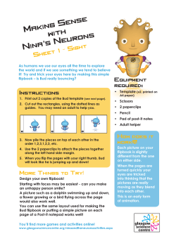 Nina and the Neurons Five Senses Activity Sheet [pdf 1MB]
