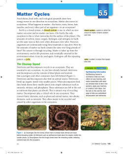 Matter Cycles - WordPress.com