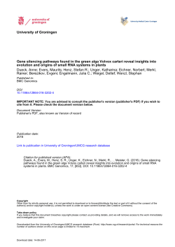 Gene silencing pathways found in the green alga Volvox