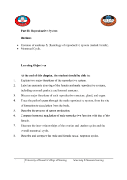 Part II: Reproductive System Outlines &bull; Revision of anatomy