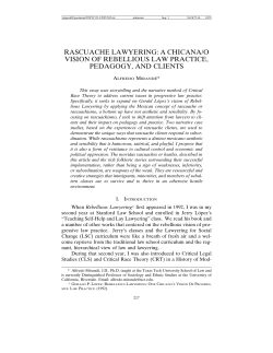 rascuache lawyering: a chicana/o vision of