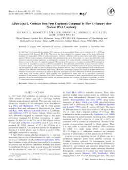 Allium cepa L. Cultivars from Four Continents