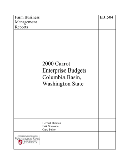 2000 Carrot Enterprise Budgets Columbia Basin, Washington State