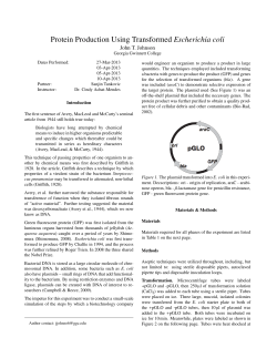 Protein Production Using Transformed