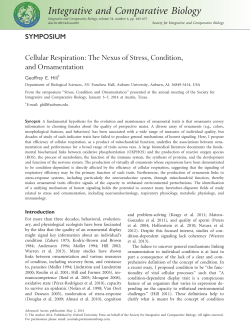 Cellular Respiration: The Nexus of Stress, Condition, and