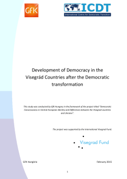 Development of Democracy in the Visegr&aacute;d Countries after the