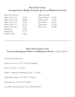 Pinot Noir Clones Average Cluster Weight in Grams grown at