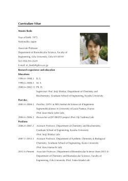 Curriculum Vitae