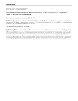 Programmed reduction of ABC transporter activity in