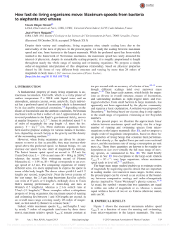How fast do living organisms move: Maximum speeds from bacteria