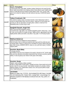 plant squash Acorn, Honeybear squash Yellow Crookneck, OG