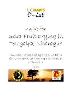 Solar Fruit Drying in Totogalpa, Nicaragua