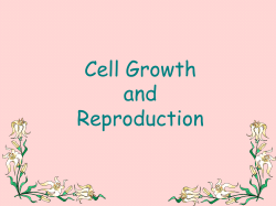 Cell Growth and Reproduction
