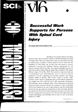 Successful Work Supports for Persons With Spinal Cord Injury