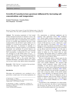 Growth of Cyanobacterium aponinum influenced by increasing salt
