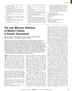The Late Miocene Radiation of Modern Felidae: A Genetic