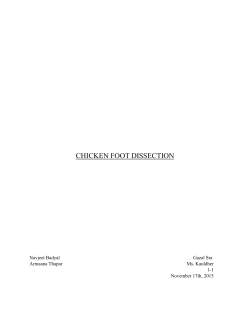 Chicken Foot Lab Report
