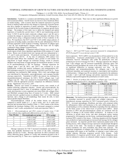 temporal expression of growth factors and matrix molecules in