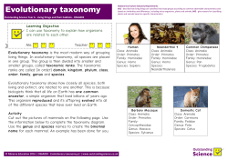 Evolutionary Taxonomy