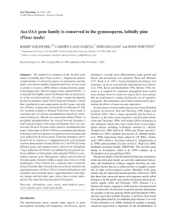 Aux/IAA gene family is conserved in the