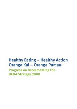 Progress on Implementing the HEHA Strategy 2008