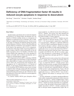 Deficiency of DNA fragmentation factor 45 results in