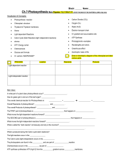 Study Guide Photosynthesis-Ch.7