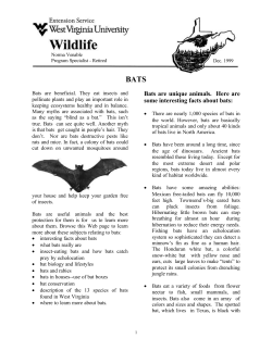 Bats are unique animals. Here are some interesting facts about bats: