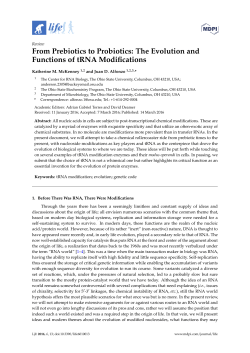 From Prebiotics to Probiotics: The Evolution and Functions of tRNA