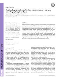 Maintaining network security: how macromolecular