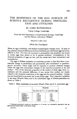 the biophysics of the egg surface of echinus esculentus during