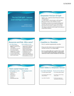 Deepwater Horizon Oil Spill Resources and Risk