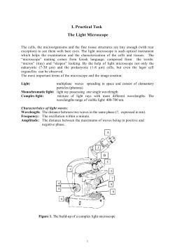 I. Practical Task The Light Microscope